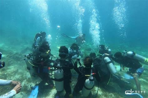 cebu paradive resort|Paradive H.K. Scuba Diving Resort .
